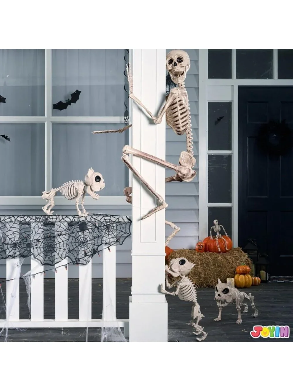 Life-Size Posable Skeleton 5.6 FT - Realistic Bones, Movable Joints, Halloween